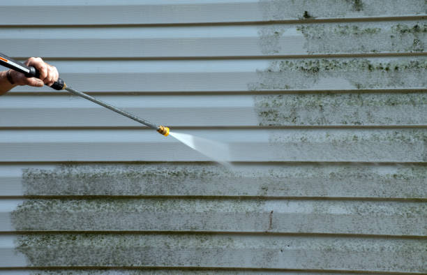 Best Driveway Pressure Washing  in Shady Hills, FL